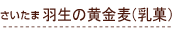 �o�^�[�~���N