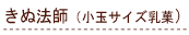 ���ʖ@�t