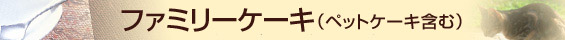 �t�@�~���[�P�[�L
