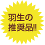 �H���̐����i!!
